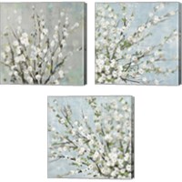 Framed 'Fresh Pale Blooms 3 Piece Canvas Print Set' border=