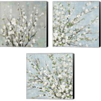Framed Fresh Pale Blooms 3 Piece Canvas Print Set