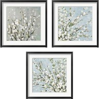 Framed 'Fresh Pale Blooms 3 Piece Framed Art Print Set' border=