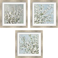 Framed Fresh Pale Blooms 3 Piece Framed Art Print Set