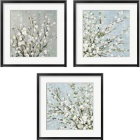 Framed 'Fresh Pale Blooms 3 Piece Framed Art Print Set' border=
