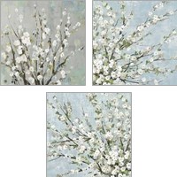 Framed Fresh Pale Blooms 3 Piece Art Print Set