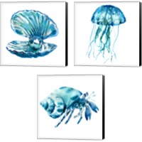 Framed SeaLife 3 Piece Canvas Print Set