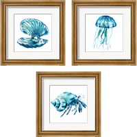 Framed SeaLife 3 Piece Framed Art Print Set