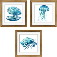 Framed 'SeaLife 3 Piece Framed Art Print Set' border=