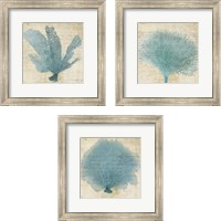 Framed Blue Coral 3 Piece Framed Art Print Set