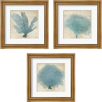 Framed 'Blue Coral 3 Piece Framed Art Print Set' border=