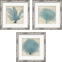 Framed Blue Coral 3 Piece Framed Art Print Set