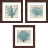 Framed 'Blue Coral 3 Piece Framed Art Print Set' border=