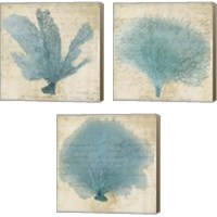 Framed Blue Coral 3 Piece Canvas Print Set