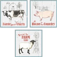 Framed 'Farm to Table 3 Piece Art Print Set' border=