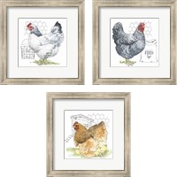 Framed 'Fun at the Coop 3 Piece Framed Art Print Set' border=