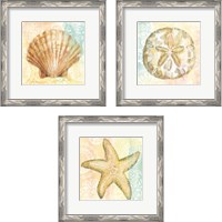 Framed 'Golden Treasures 3 Piece Framed Art Print Set' border=