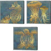 Framed 'Deep Sea Life 3 Piece Canvas Print Set' border=