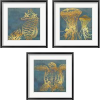 Framed 'Deep Sea Life 3 Piece Framed Art Print Set' border=