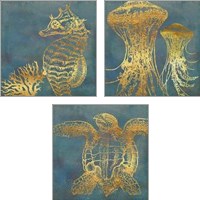 Framed 'Deep Sea Life 3 Piece Art Print Set' border=