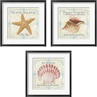 Framed 'Sea Shells  3 Piece Framed Art Print Set' border=