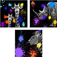 Framed 'Safari Colors Pop 3 Piece Art Print Set' border=