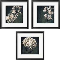 Framed 'Floral Texture 3 Piece Framed Art Print Set' border=