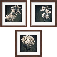 Framed 'Floral Texture 3 Piece Framed Art Print Set' border=