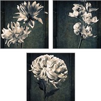 Framed 'Floral Texture 3 Piece Art Print Set' border=