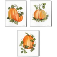 Framed 'Pumpkin and Vines 3 Piece Canvas Print Set' border=