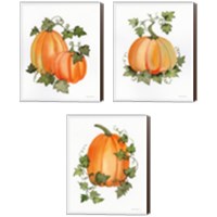 Framed Pumpkin and Vines 3 Piece Canvas Print Set