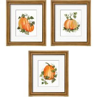 Framed Pumpkin and Vines 3 Piece Framed Art Print Set