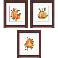 Framed Pumpkin and Vines 3 Piece Framed Art Print Set