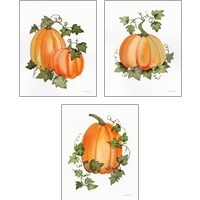Framed 'Pumpkin and Vines 3 Piece Art Print Set' border=