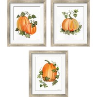 Framed Pumpkin and Vines 3 Piece Framed Art Print Set