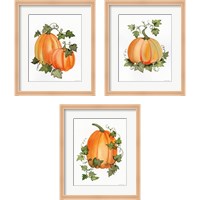 Framed 'Pumpkin and Vines 3 Piece Framed Art Print Set' border=