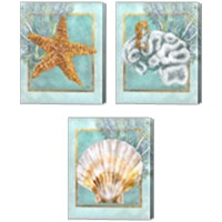 Framed 'Coral and Seahorse 3 Piece Canvas Print Set' border=