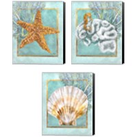 Framed Coral and Seahorse 3 Piece Canvas Print Set