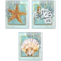 Framed 'Coral and Seahorse 3 Piece Canvas Print Set' border=
