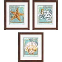 Framed Coral and Seahorse 3 Piece Framed Art Print Set