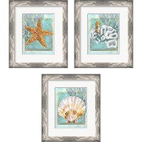 Framed 'Coral and Seahorse 3 Piece Framed Art Print Set' border=