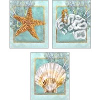 Framed Coral and Seahorse 3 Piece Art Print Set