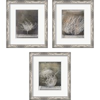 Framed Desert Form 3 Piece Framed Art Print Set