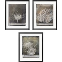 Framed 'Desert Form 3 Piece Framed Art Print Set' border=