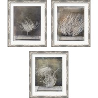 Framed 'Desert Form 3 Piece Framed Art Print Set' border=