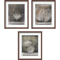 Framed Desert Form 3 Piece Framed Art Print Set