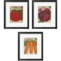 Framed 'Heirloom Variety 3 Piece Framed Art Print Set' border=