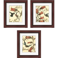 Framed Small Hummingbird Reverie 3 Piece Framed Art Print Set
