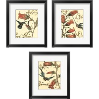 Framed 'Small Hummingbird Reverie 3 Piece Framed Art Print Set' border=