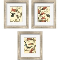 Framed 'Small Hummingbird Reverie 3 Piece Framed Art Print Set' border=