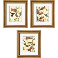 Framed 'Small Hummingbird Reverie 3 Piece Framed Art Print Set' border=