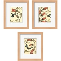 Framed 'Small Hummingbird Reverie 3 Piece Framed Art Print Set' border=