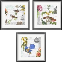 Framed 'Birdwatchers Dream 3 Piece Framed Art Print Set' border=