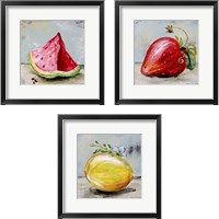Framed Abstract Kitchen Fruit 3 Piece Framed Art Print Set